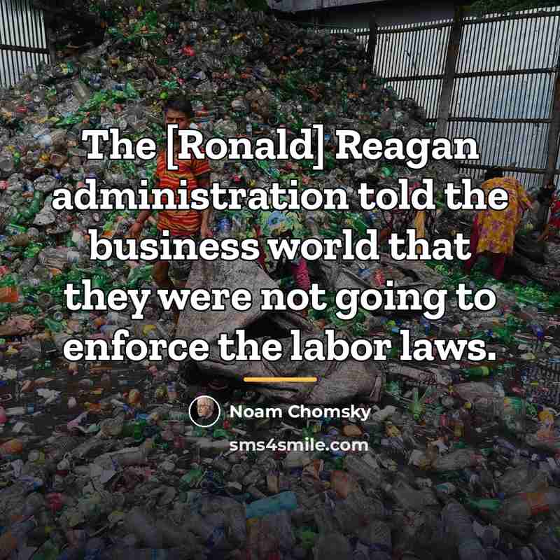 “The [Ronald] Reagan administration told the business world that they…” quote by Noam Chomsky