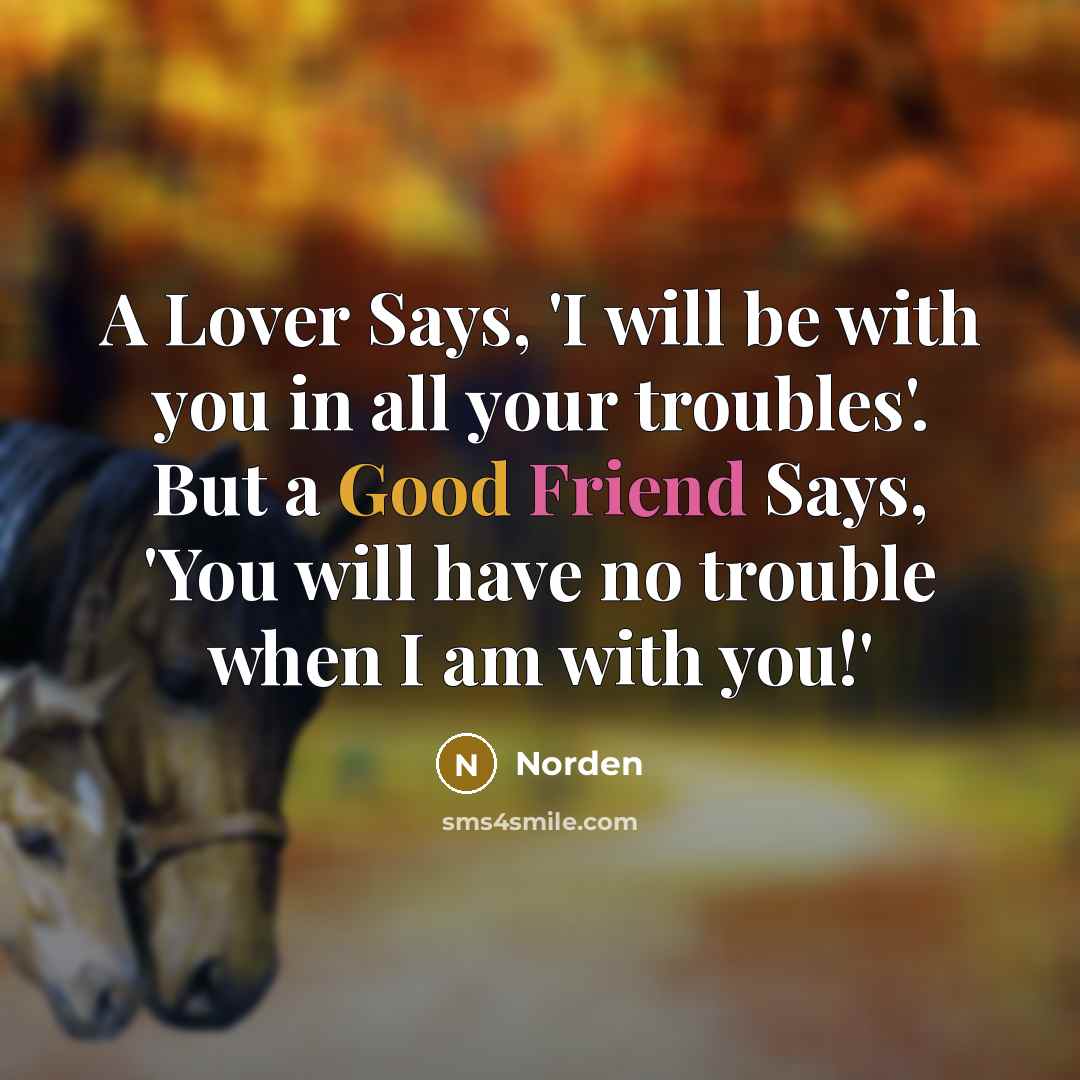 “A Lover Says, 'I will be with you in all your troubles'. But a Good Friend Says, 'You will have no trouble when I am with you!'” quote by Norden