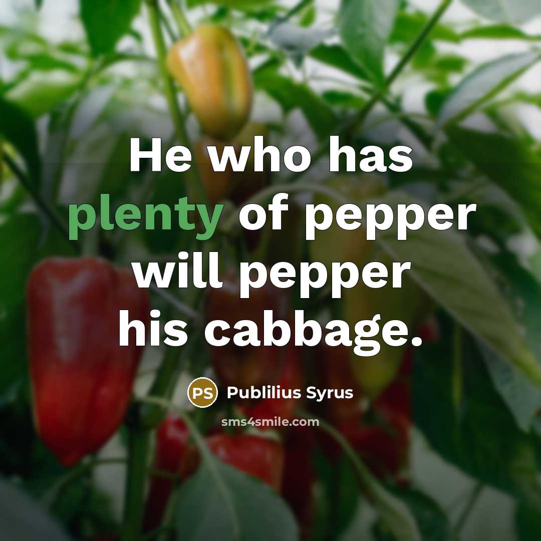 “He who has plenty of pepper will pepper his cabbage.…” quote by Publilius Syrus