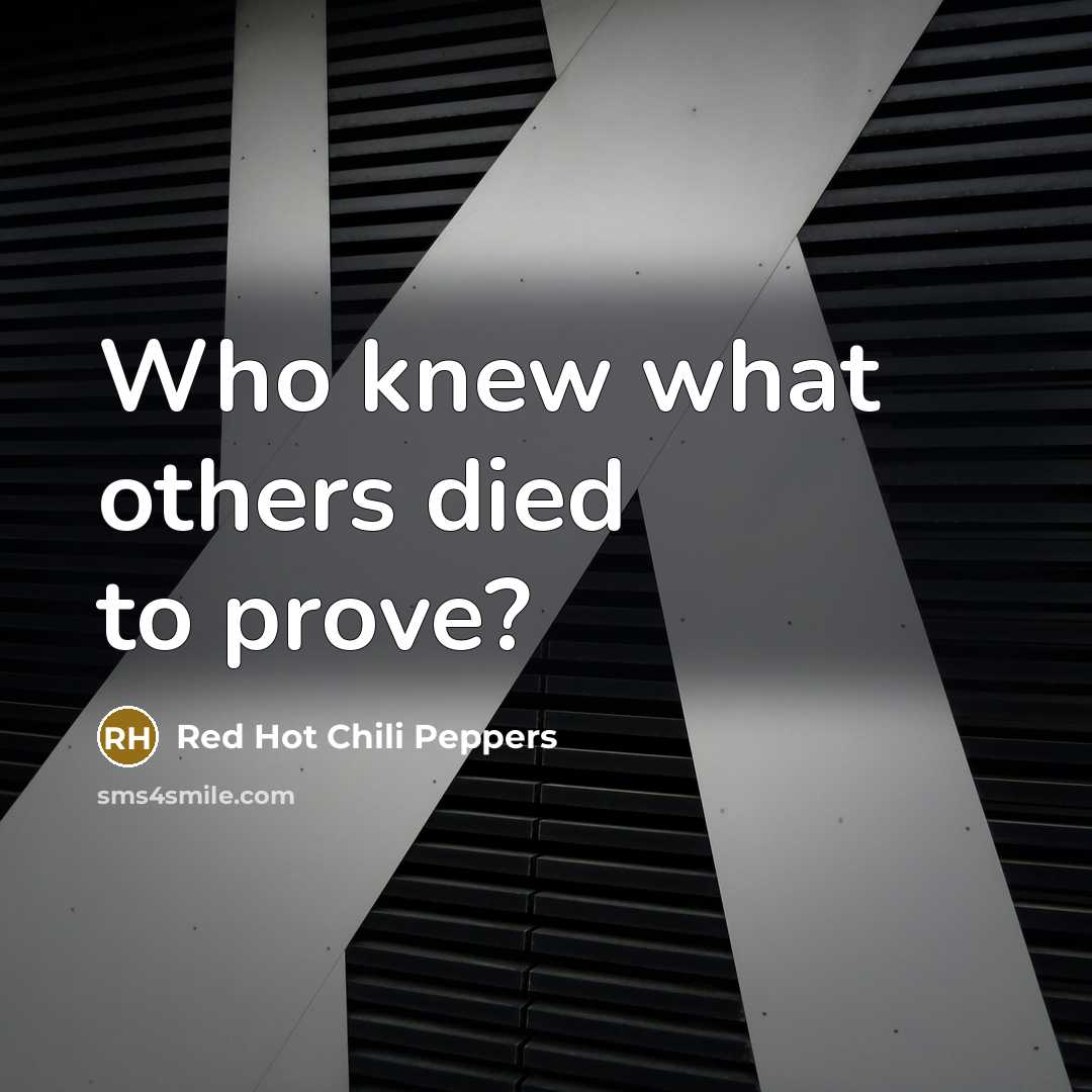 “Who knew what others died to prove?…” quote by Red Hot Chili Peppers