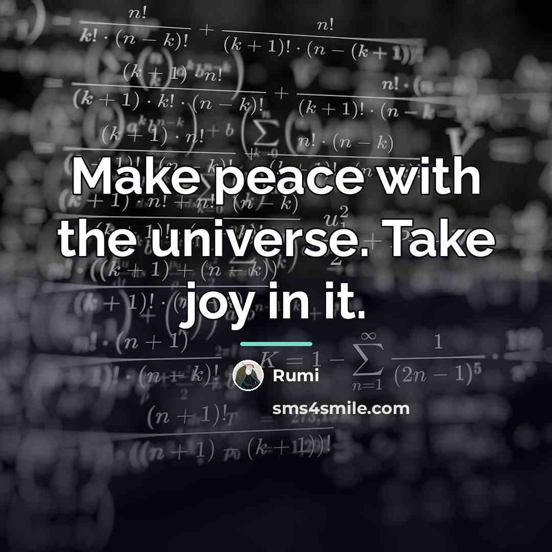 “Make peace with the universe. Take joy in it.…” quote by Rumi