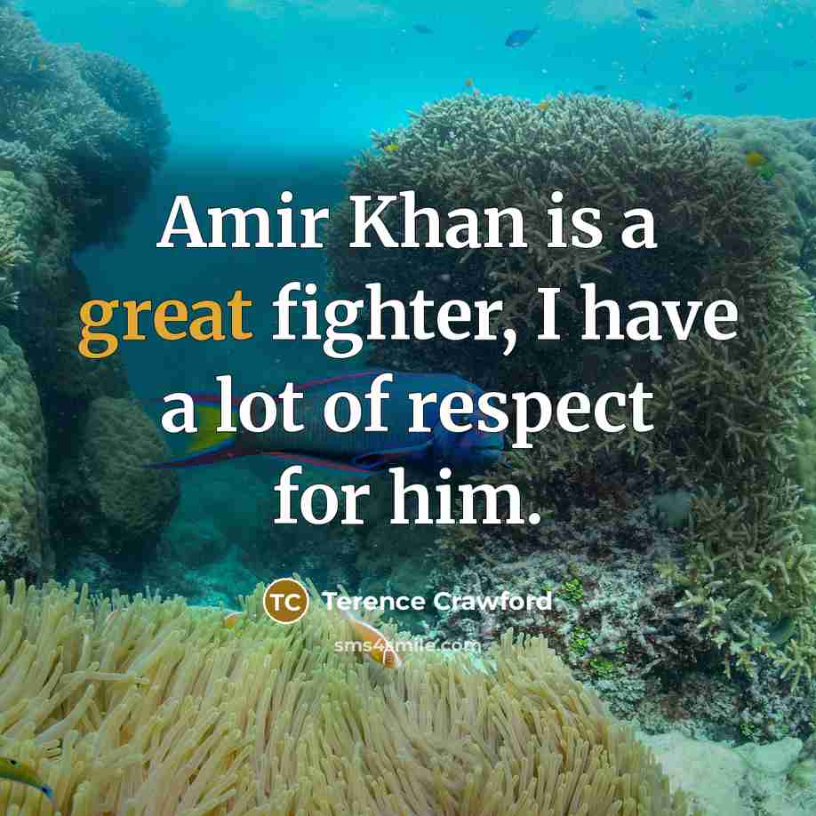 “Amir Khan is a great fighter, I have a lot…” quote by Terence Crawford