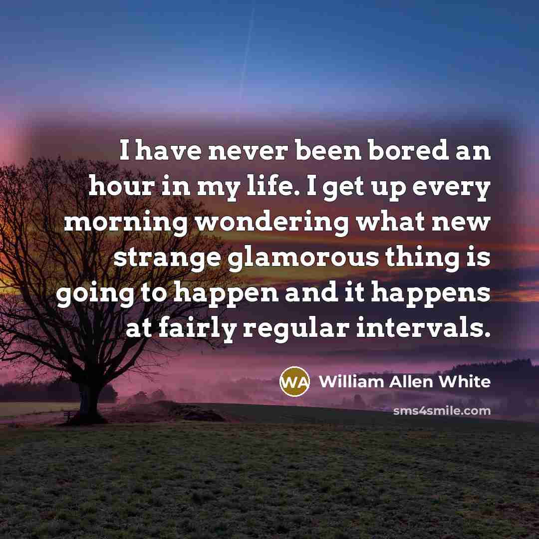 “I have never been bored an hour in my life.…” quote by William Allen White