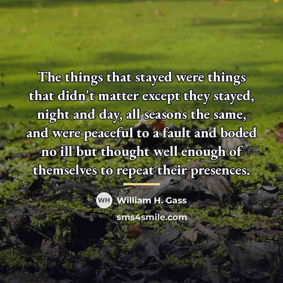 “The things that stayed were things that didn't matter except…” quote by William H. Gass