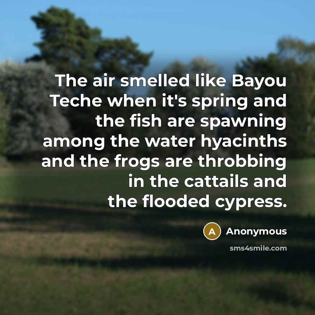 “The air smelled like Bayou Teche when it's spring and…” quote by Anonymous