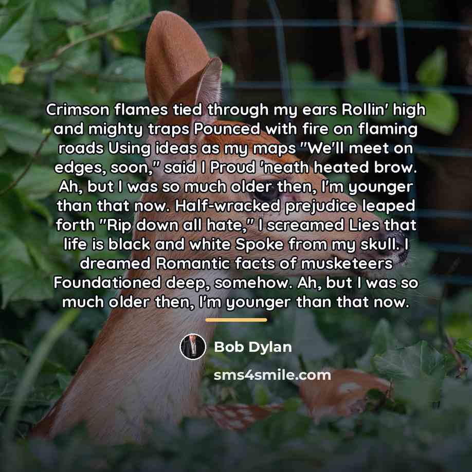 “Crimson flames tied through my ears Rollin' high and mighty…” quote by Bob Dylan