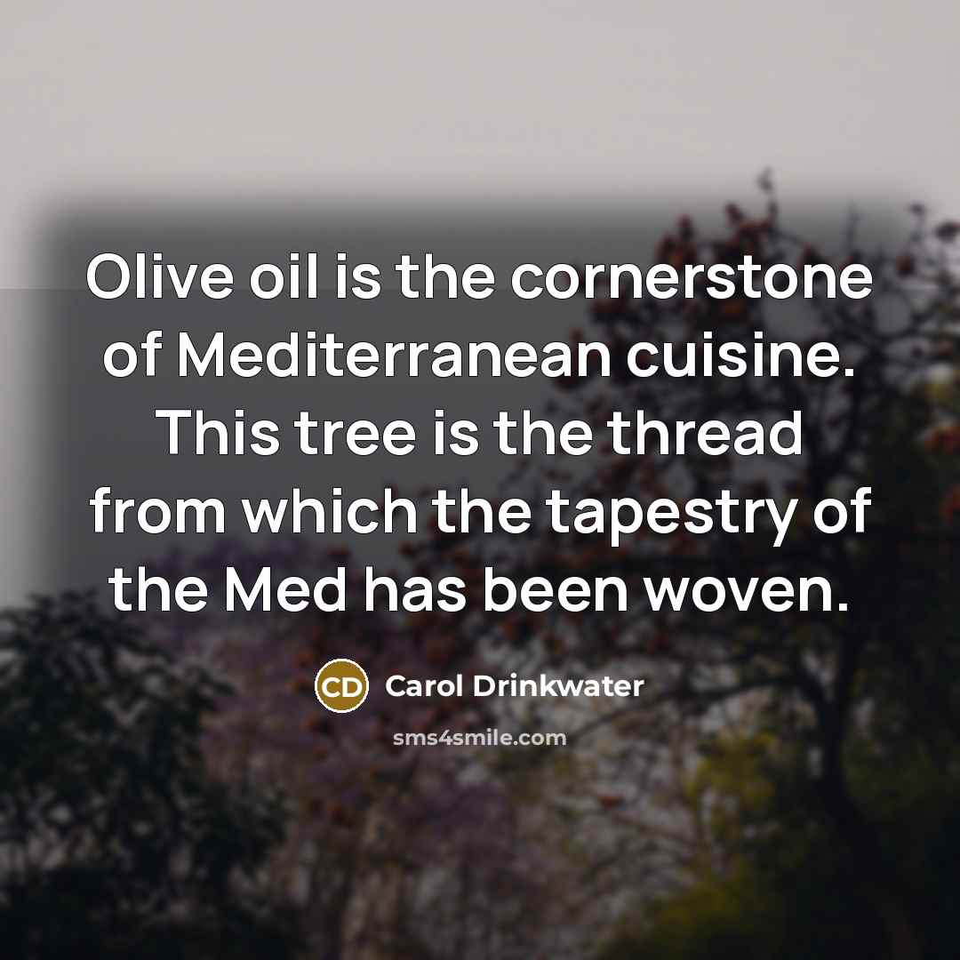 “Olive oil is the cornerstone of Mediterranean cuisine. This tree…” quote by Carol Drinkwater