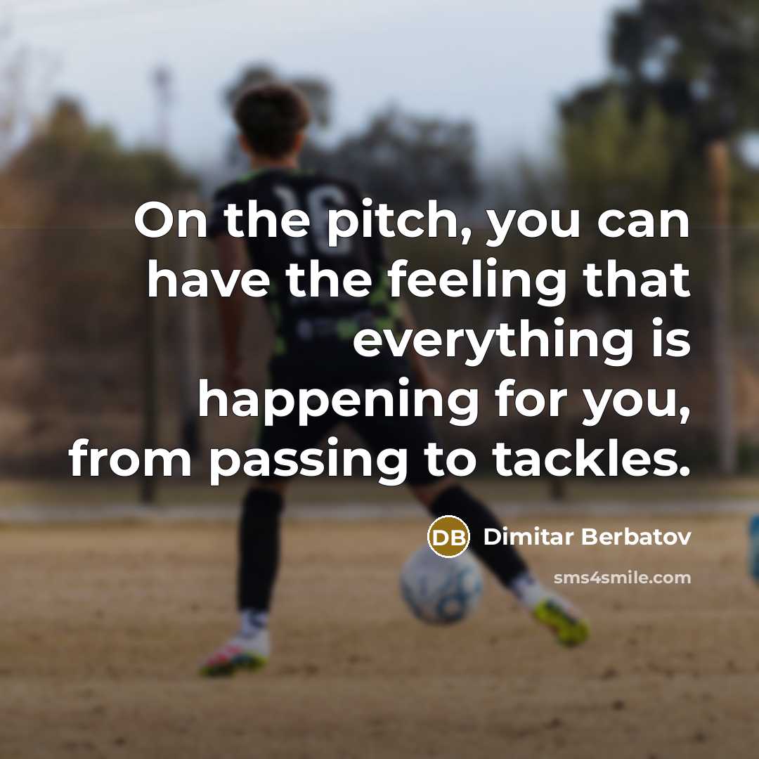 “On the pitch, you can have the feeling that everything…” quote by Dimitar Berbatov