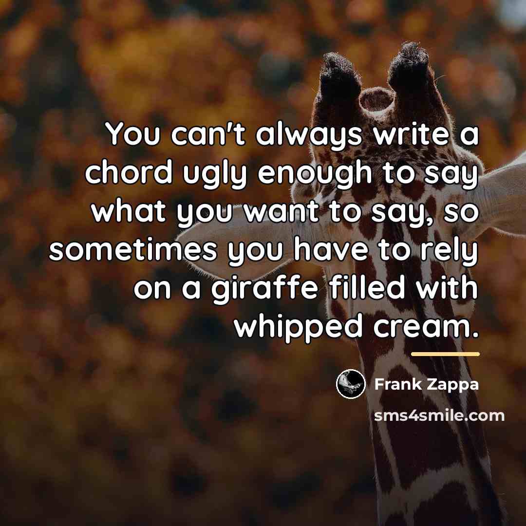 “You can't always write a chord ugly enough to say…” quote by Frank Zappa