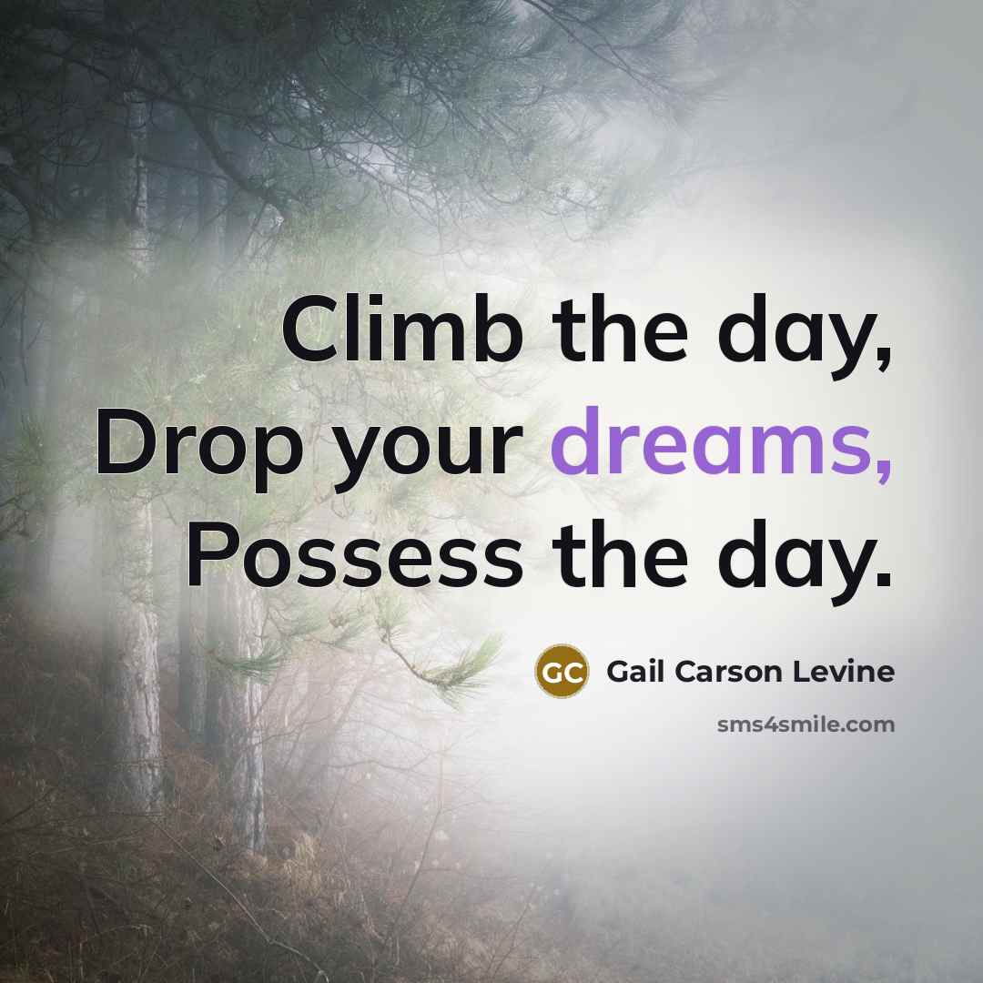 “Climb the day, Drop your dreams, Possess the day.” quote by Gail Carson Levine
