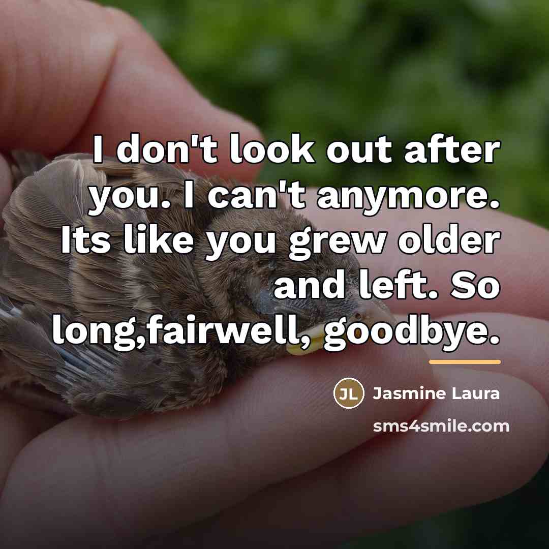 “I don't look out after you. I can't anymore. Its…” quote by Jasmine Laura