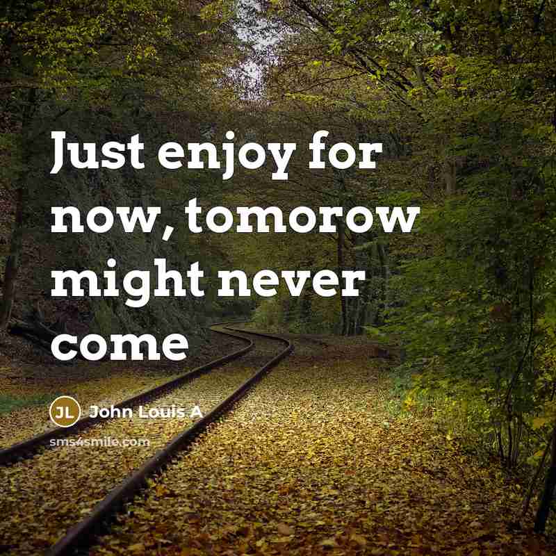 “Just enjoy for now, tomorow might never come…” quote by John Louis A