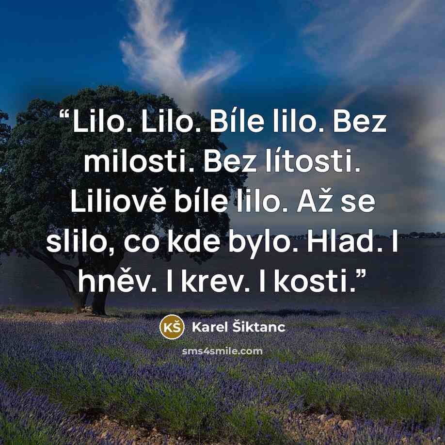 “Lilo. Lilo. Bíle lilo. Bez milosti. Bez lítosti. Liliově bíle lilo. Až se slilo, co kde bylo. Hlad. I hněv. I krev. I kosti.” quote by Karel Šiktanc
