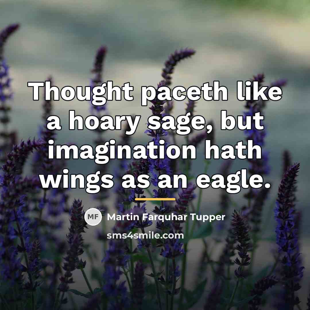 “Thought paceth like a hoary sage, but imagination hath wings…” quote by Martin Farquhar Tupper