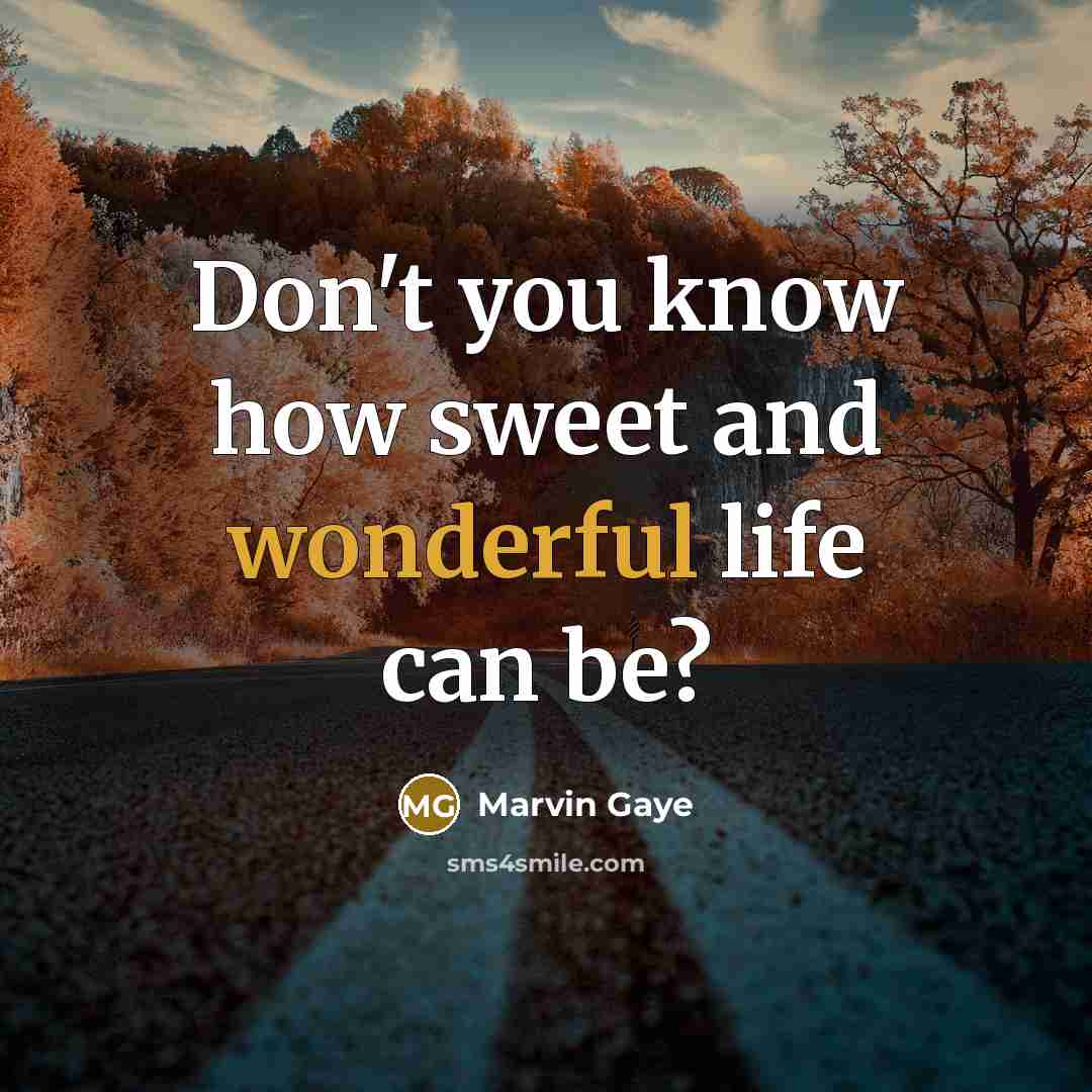 “Don't you know how sweet and wonderful life can be?…” quote by Marvin Gaye