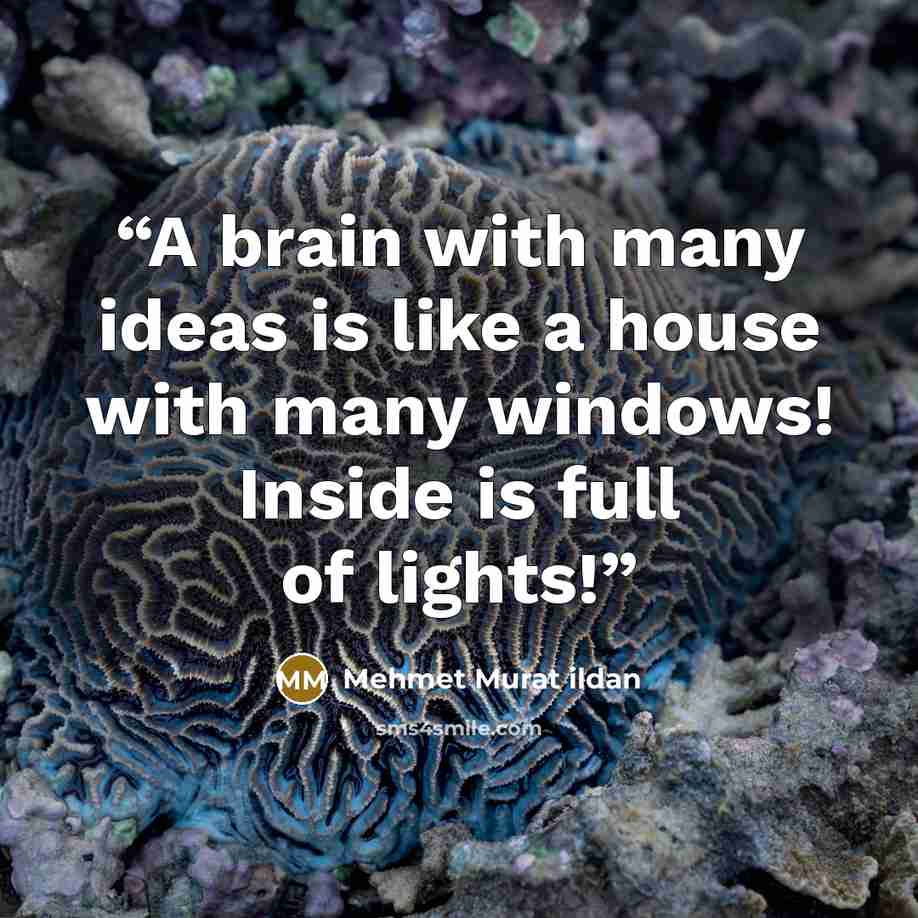 “A brain with many ideas is like a house with many windows! Inside is full of lights!” quote by Mehmet Murat ildan