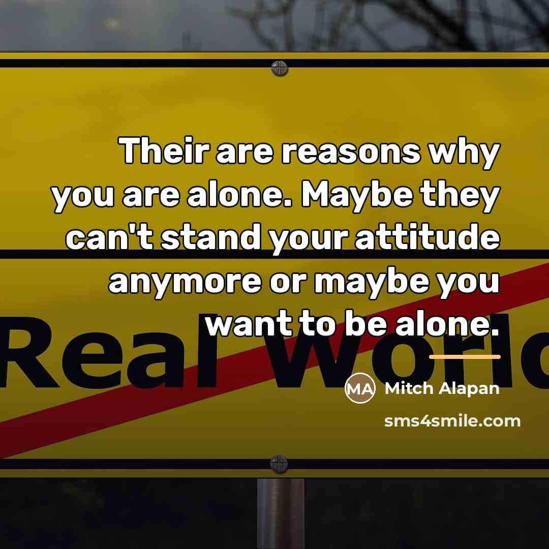 “Their are reasons why you are alone. Maybe they can't…” quote by Mitch Alapan