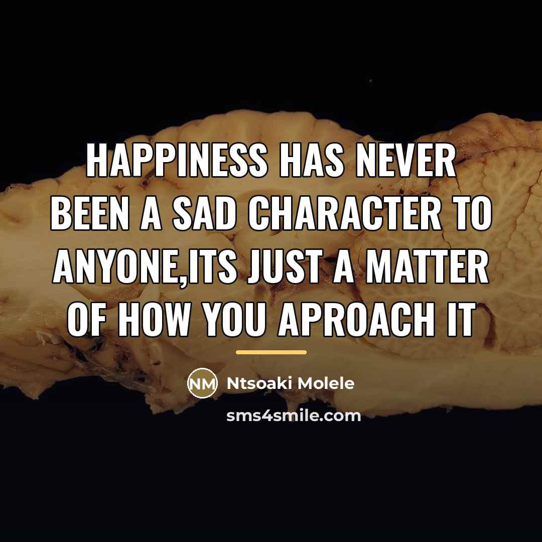 “Happiness has never been a sad character to anyone,its just…” quote by Anonymous