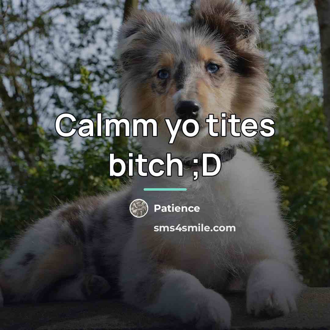 “Calmm yo tites bitch ;D…” quote by Patience