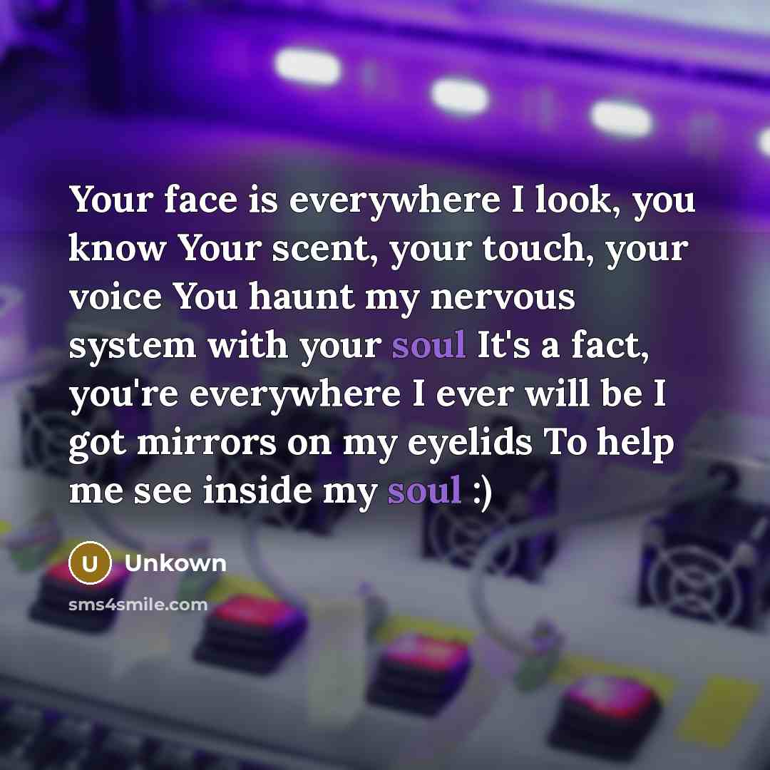“Your face is everywhere I look, you know Your scent, your touch, your voice You haunt my nervous system with your soul It's a fact, you're everywhere I ever will be I got mirrors on my eyelids To help me see inside my soul :)” quote by Unkown