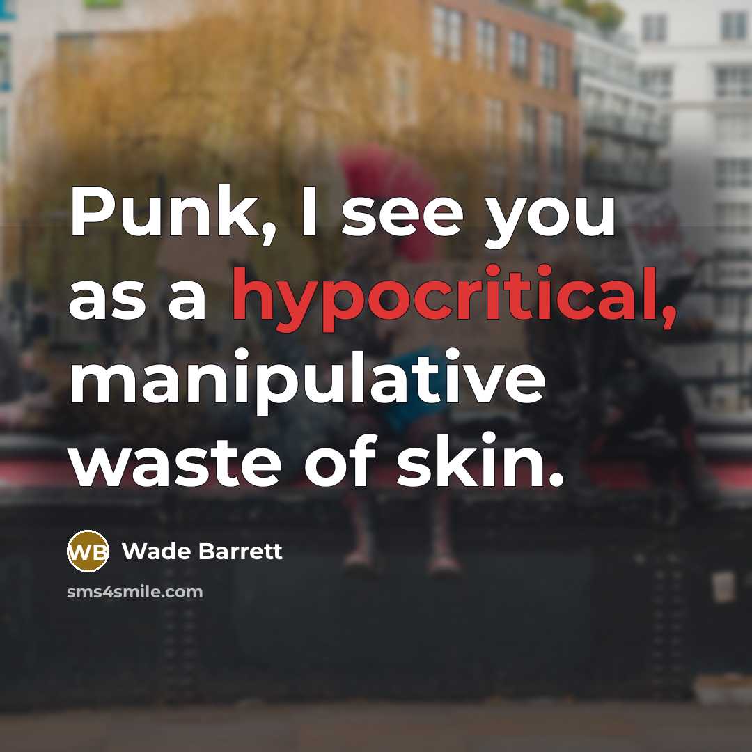 “Punk, I see you as a hypocritical, manipulative waste of…” quote by Wade Barrett