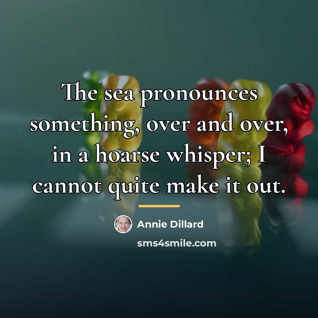 “The sea pronounces something, over and over, in a hoarse…” quote by Annie Dillard
