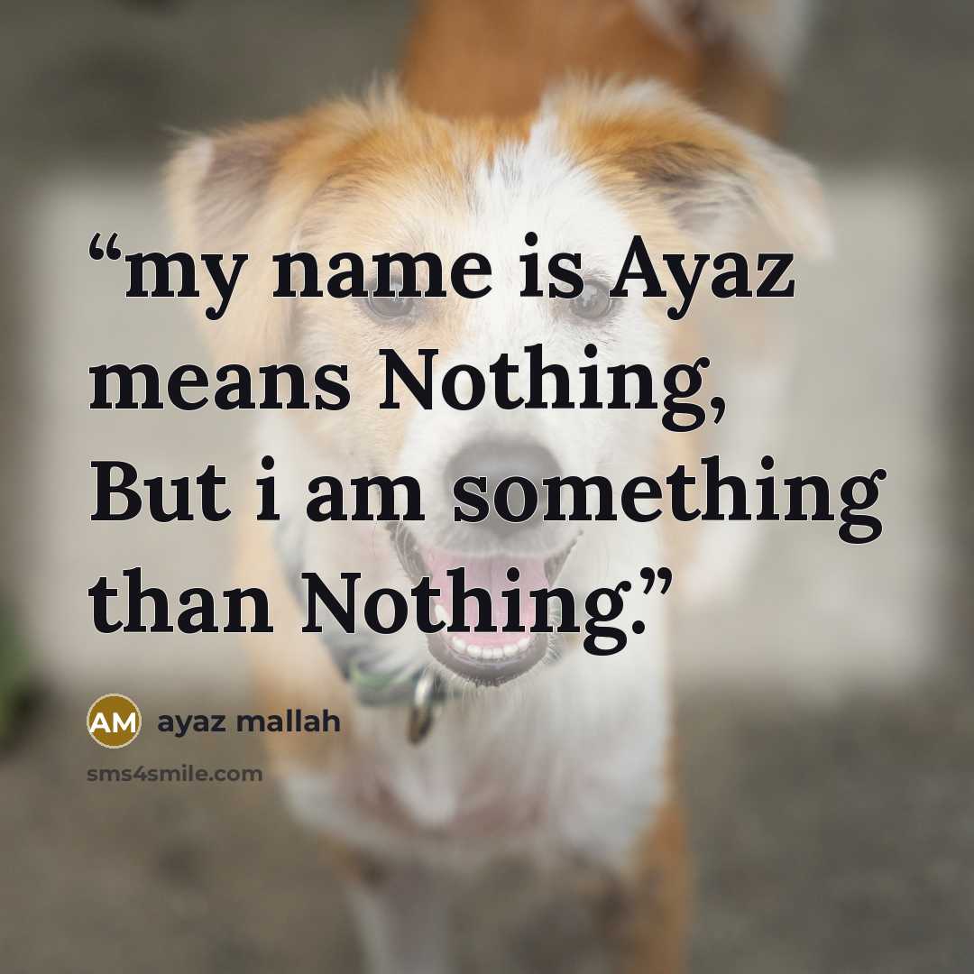 “my name is Ayaz means Nothing, But i am something than Nothing.” quote by ayaz mallah