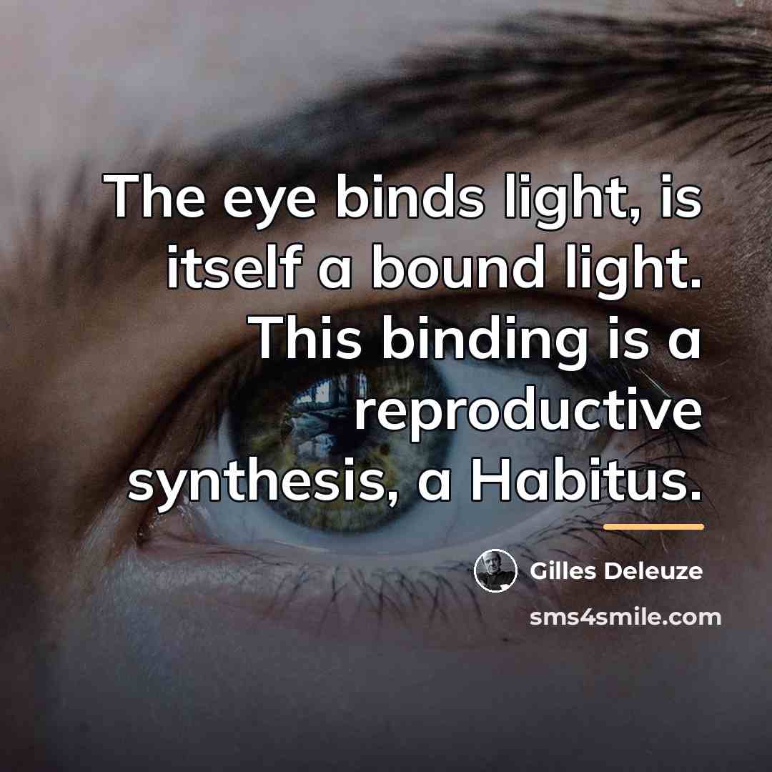 “The eye binds light, is itself a bound light. This…” quote by Gilles Deleuze