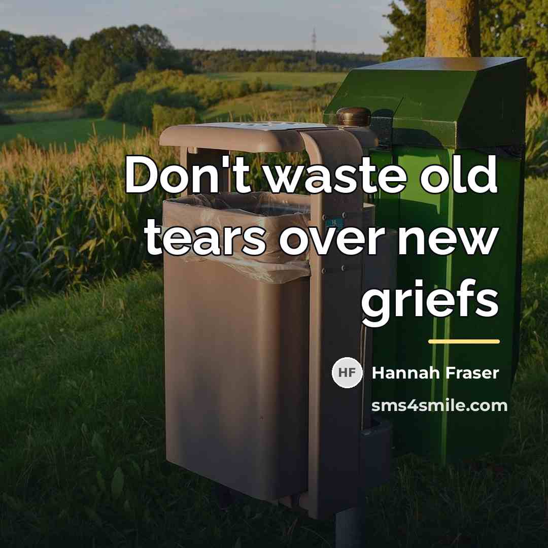 “Don't waste old tears over new griefs…” quote by Hannah Fraser