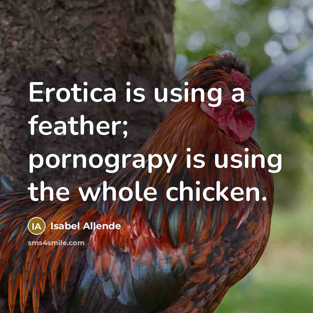 “Erotica is using a feather; pornograpy is using the whole…” quote by Isabel Allende