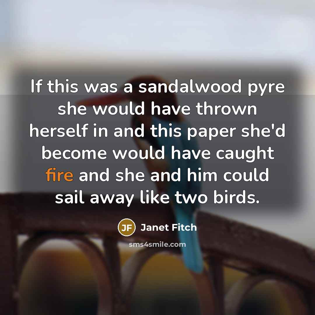 “If this was a sandalwood pyre she would have thrown…” quote by Janet Fitch