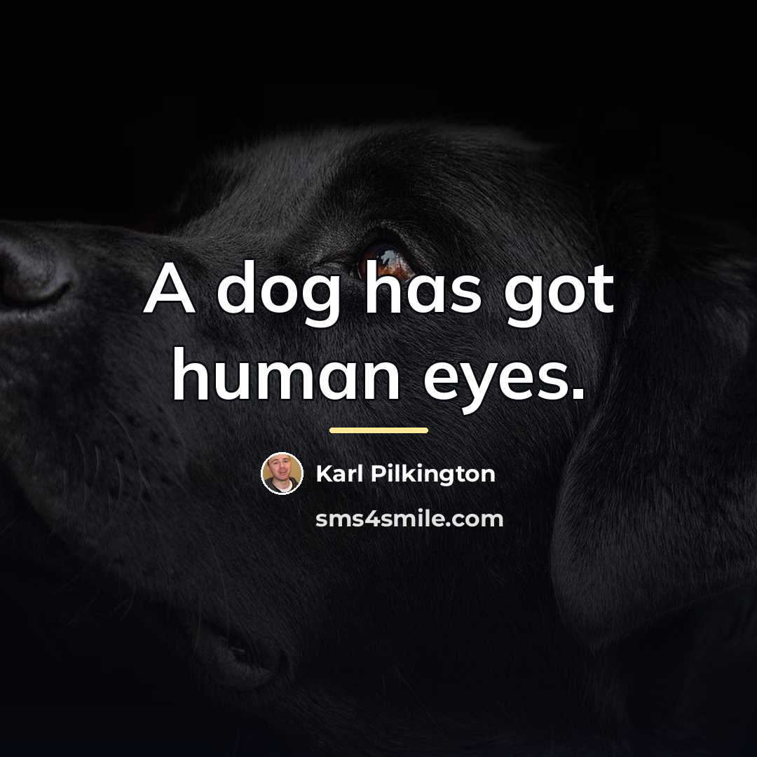 “A dog has got human eyes.…” quote by Karl Pilkington