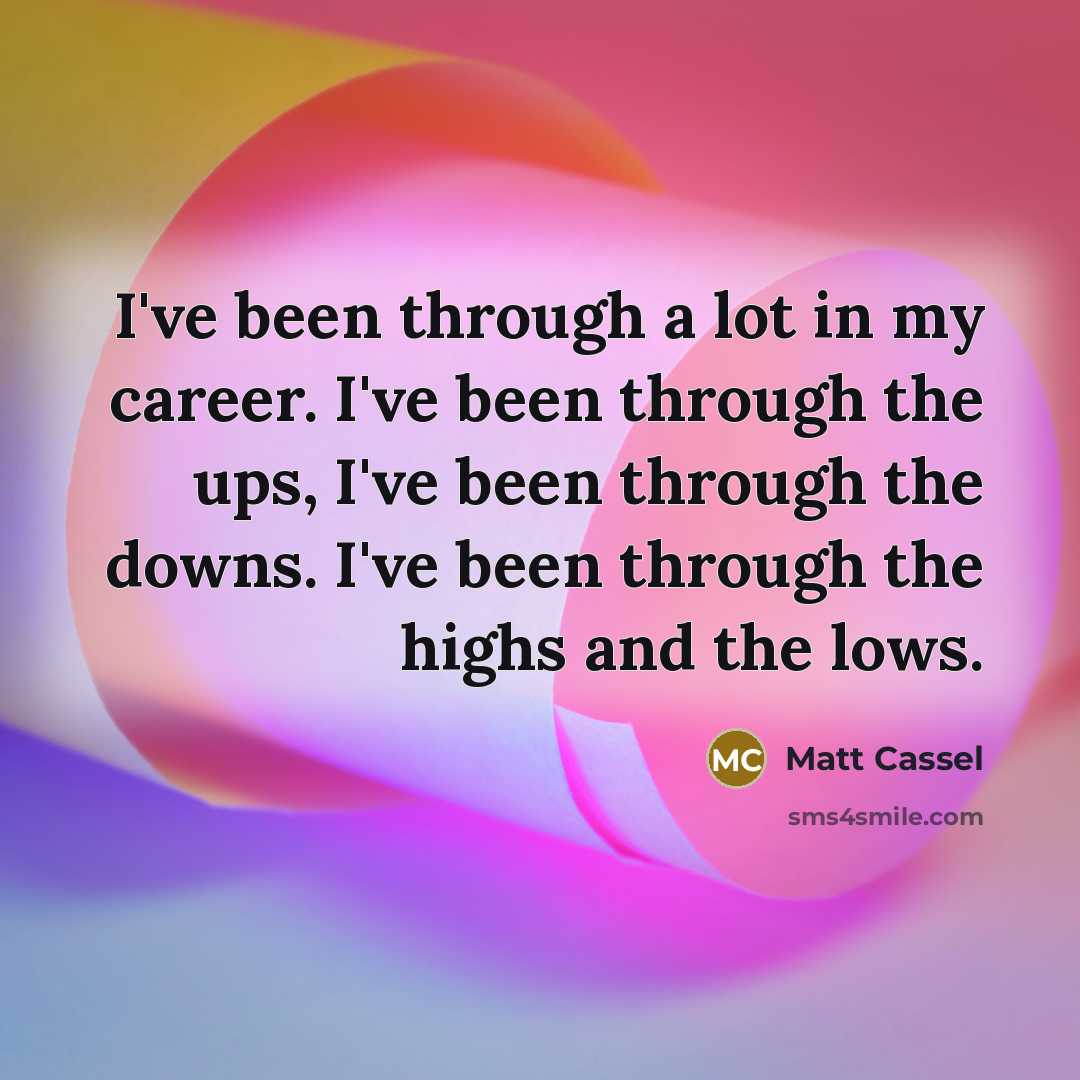 “I've been through a lot in my career. I've been…” quote by Matt Cassel