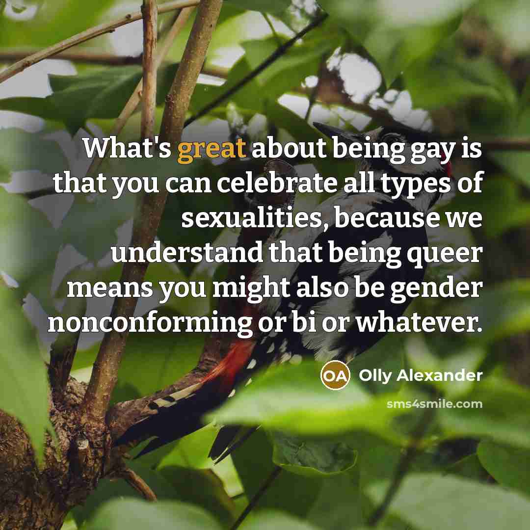 “What's great about being gay is that you can celebrate…” quote by Olly Alexander