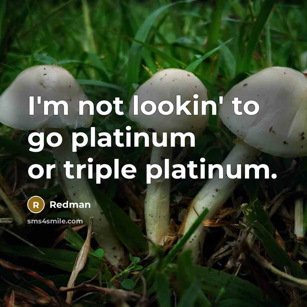 “I'm not lookin' to go platinum or triple platinum.…” quote by Redman