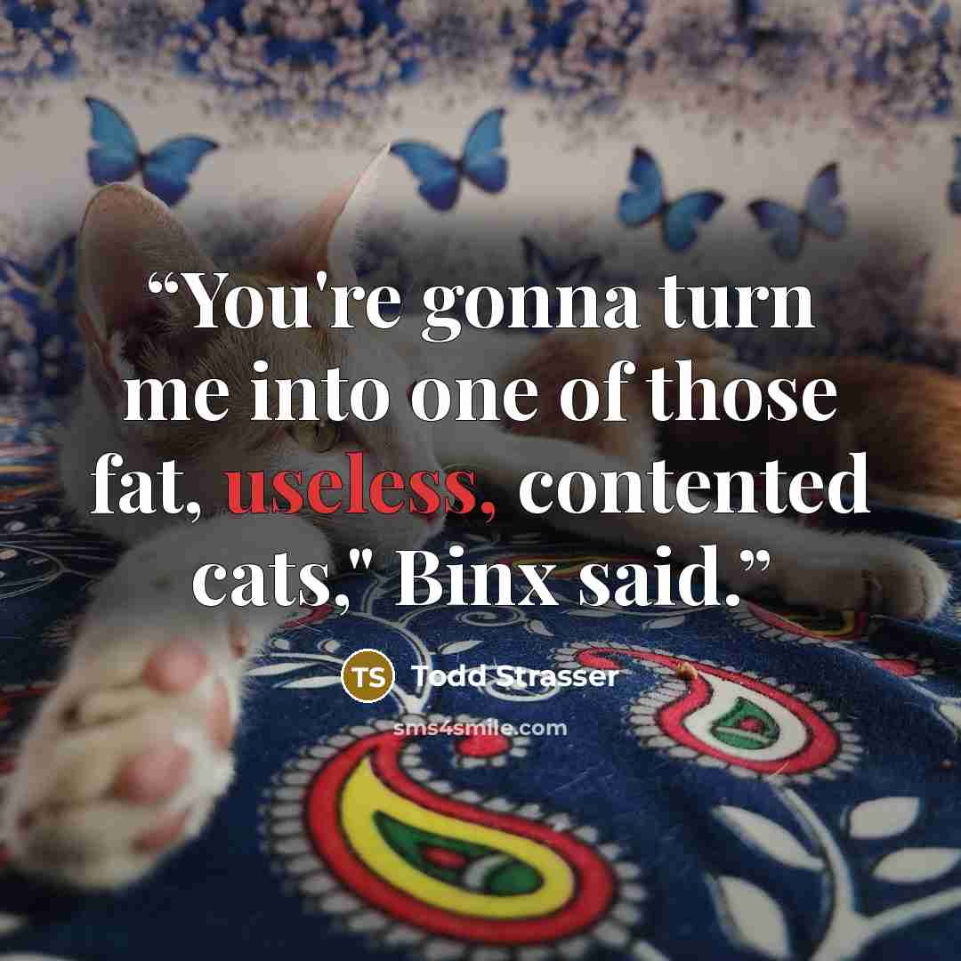 “You're gonna turn me into one of those fat, useless, contented cats," Binx said.” quote by Todd Strasser