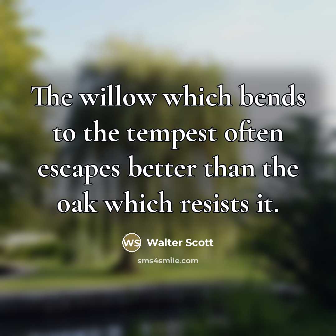 “The willow which bends to the tempest often escapes better…” quote by Walter Scott