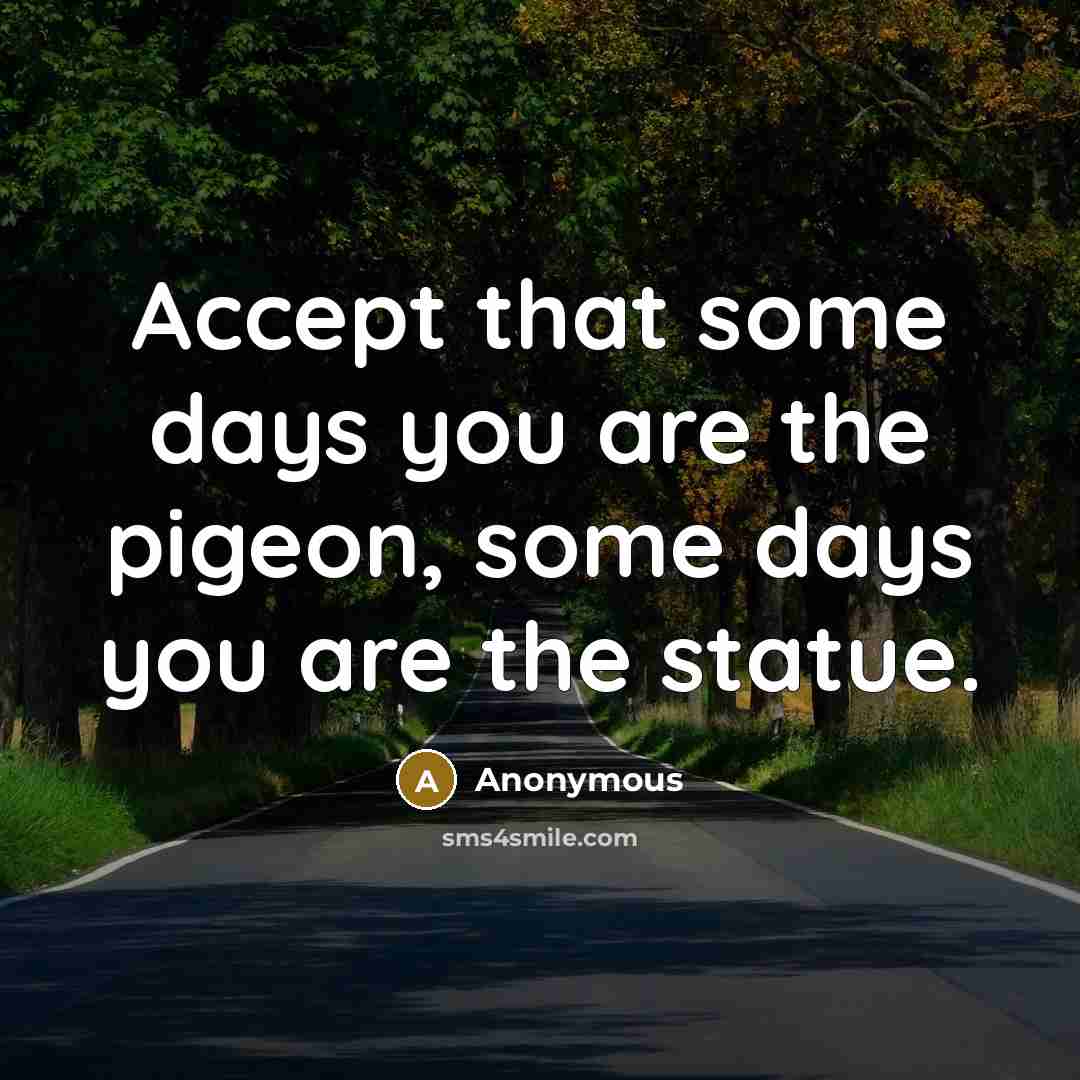 “Accept that some days you are the pigeon, some days…” quote by Anonymous