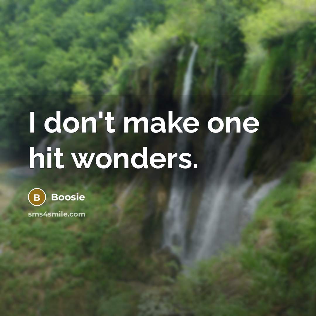 “I don't make one hit wonders.…” quote by Boosie