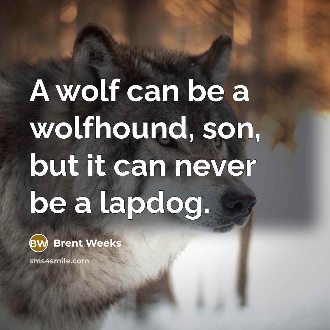 “A wolf can be a wolfhound, son, but it can…” quote by Brent Weeks