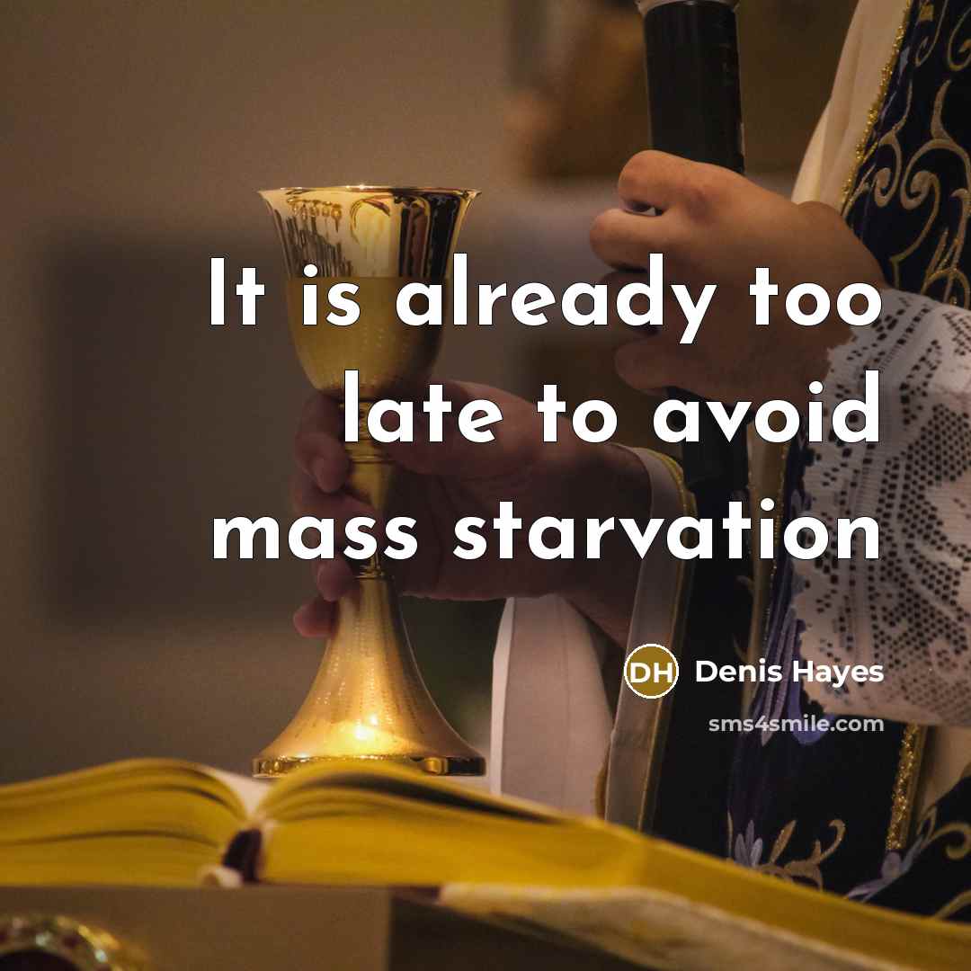 “It is already too late to avoid mass starvation” quote by Denis Hayes