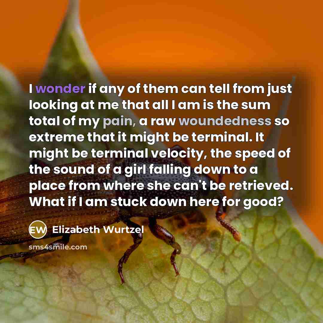 “I wonder if any of them can tell from just…” quote by Elizabeth Wurtzel