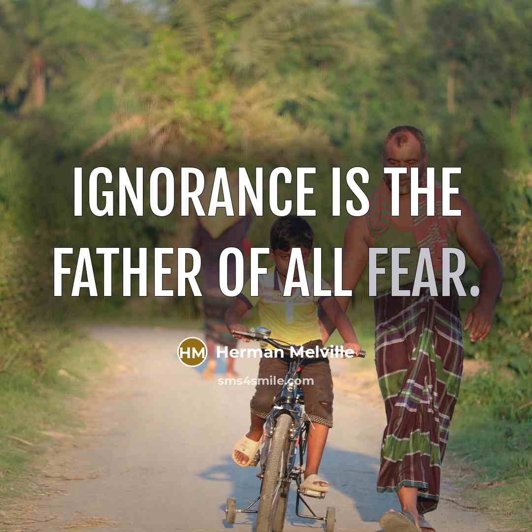 “Ignorance is the father of all fear.…” quote by Herman Melville