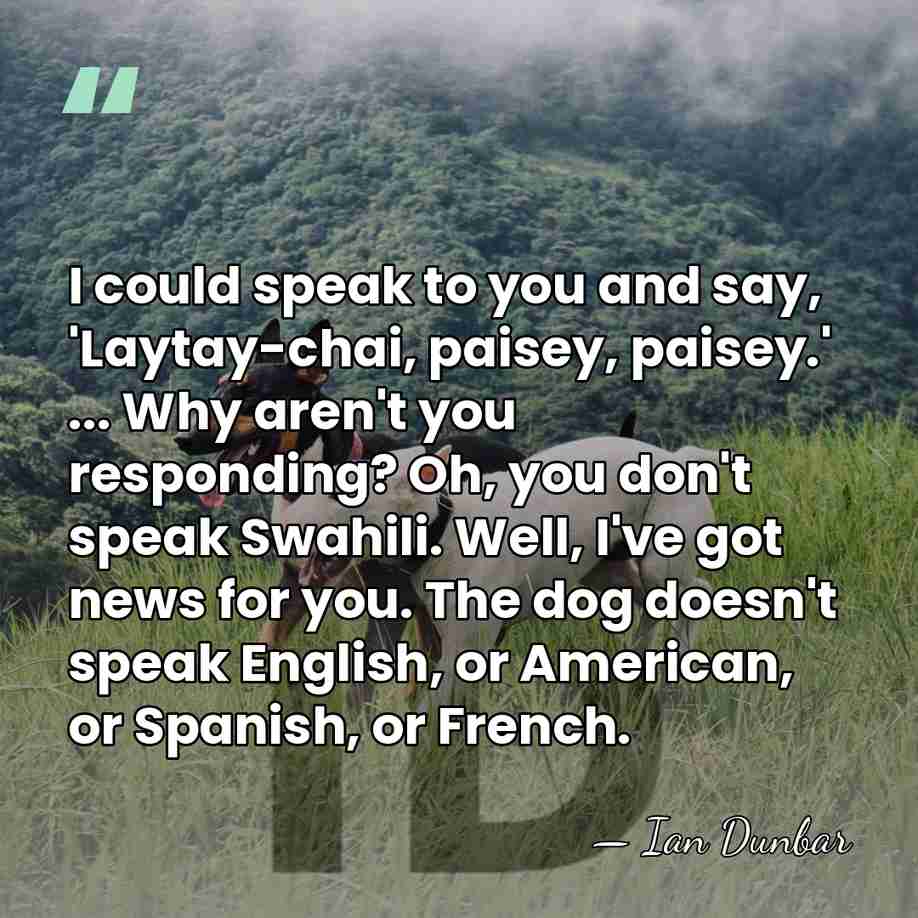 I could speak to you and say, 'Laytay-chai, paisey, paisey.' ... Why&hellip; - Ian Dunbar