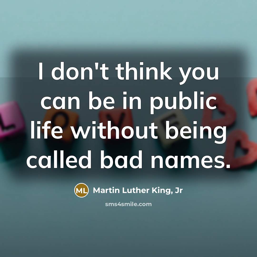 “I don't think you can be in public life without…” quote by Martin Luther King, Jr