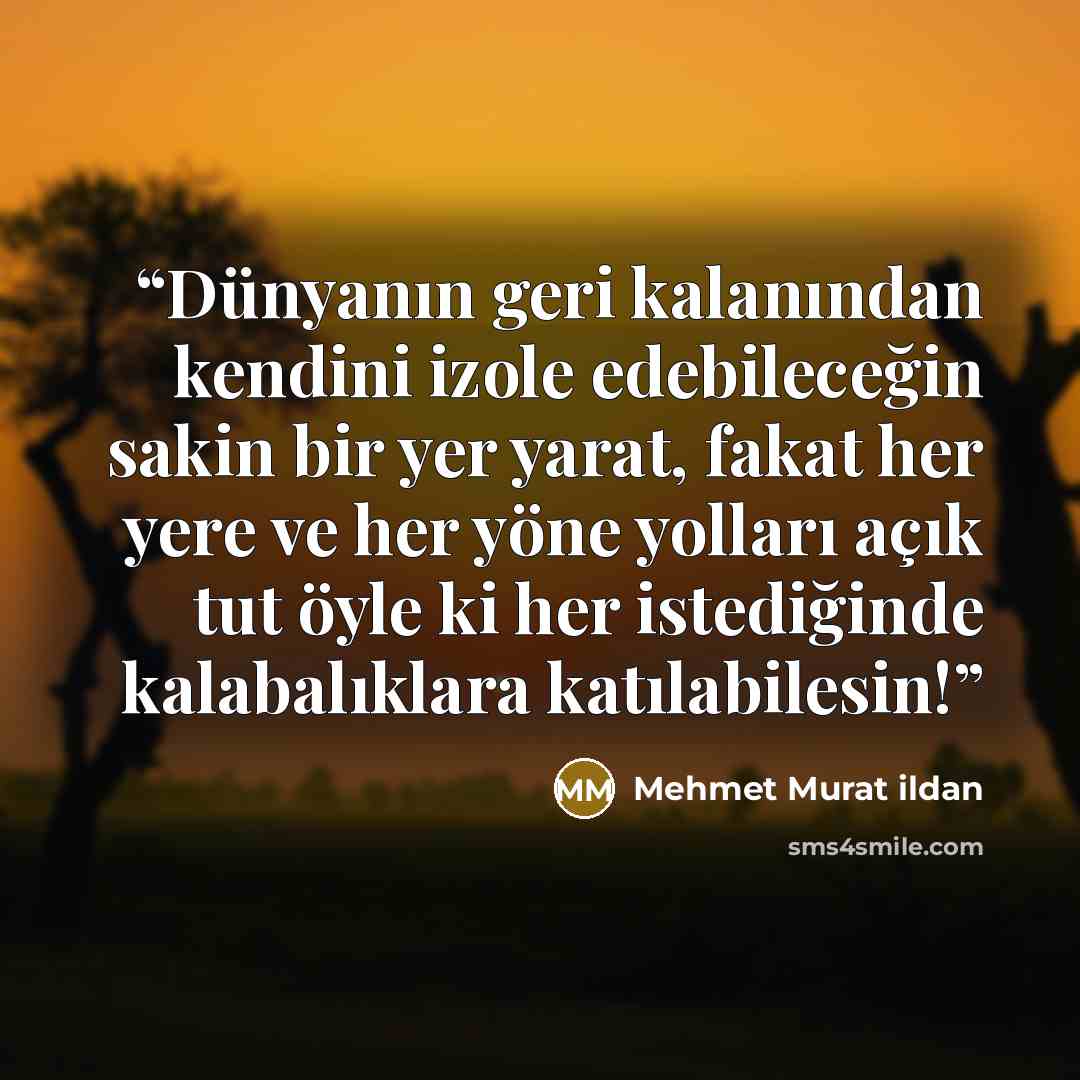 “Dünyanın geri kalanından kendini izole edebileceğin sakin bir yer yarat, fakat her yere ve her yöne yolları açık tut öyle ki her istediğinde kalabalıklara katılabilesin!” quote by Mehmet Murat ildan