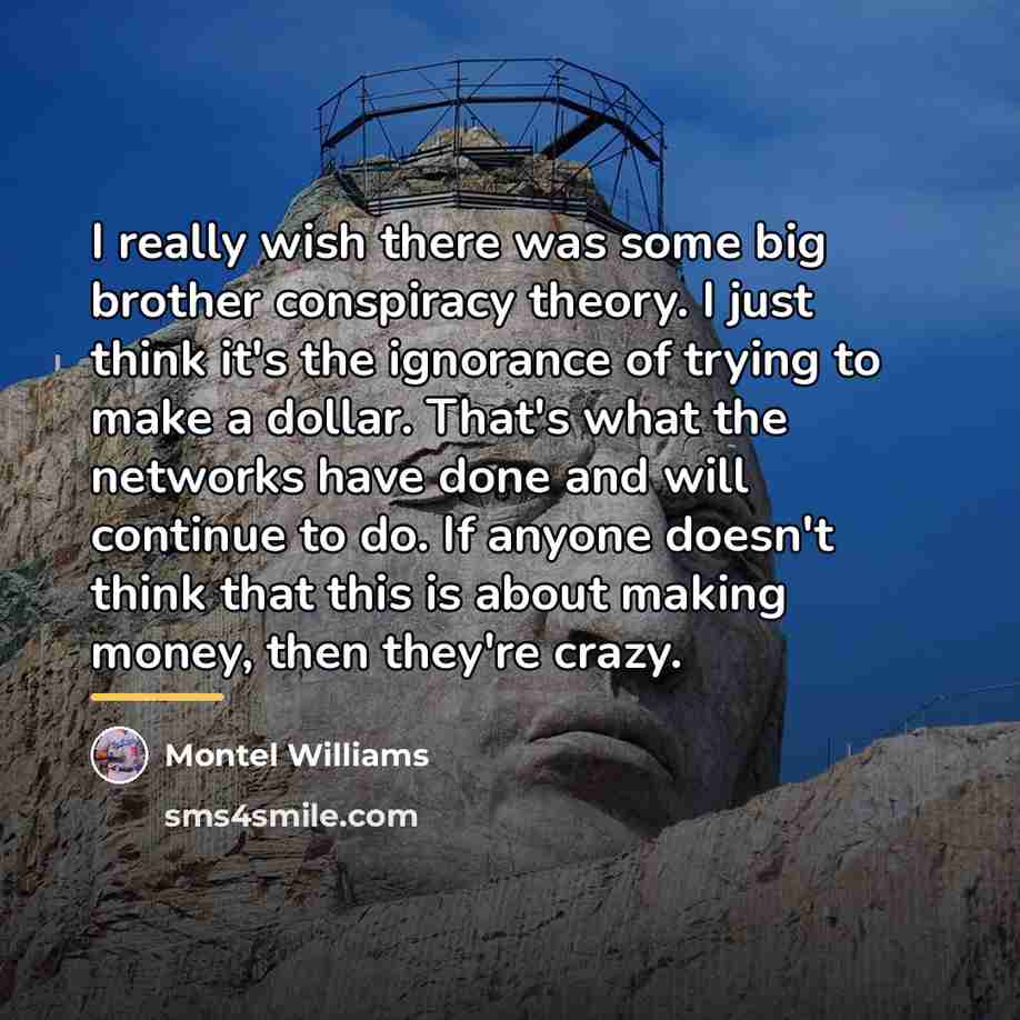 “I really wish there was some big brother conspiracy theory.…” quote by Montel Williams