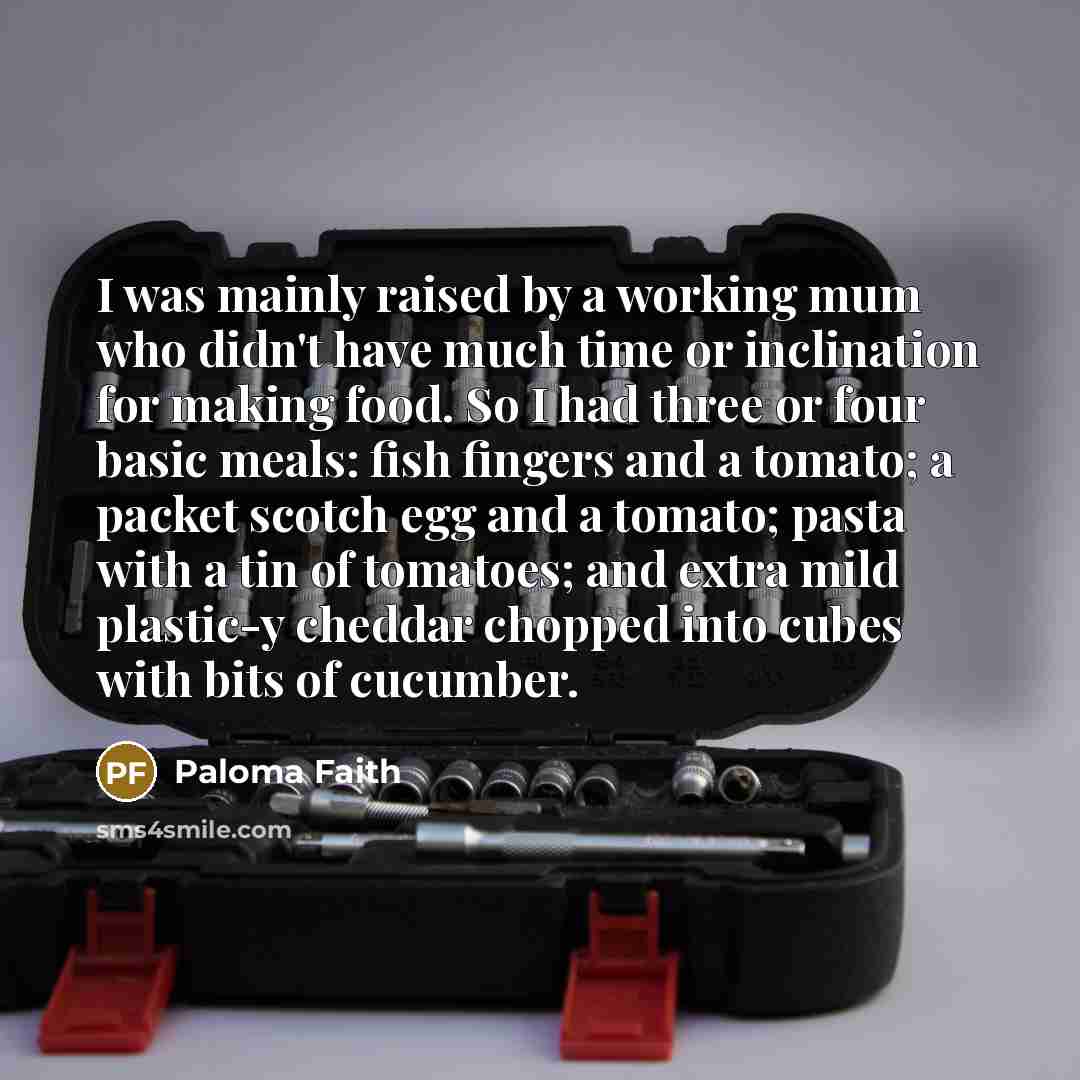 “I was mainly raised by a working mum who didn't…” quote by Paloma Faith