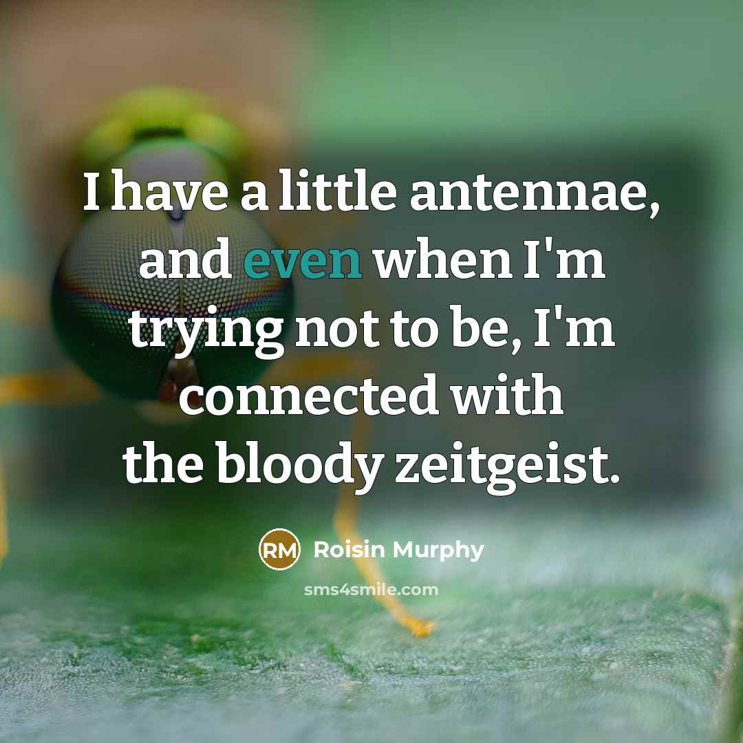“I have a little antennae, and even when I'm trying…” quote by Roisin Murphy