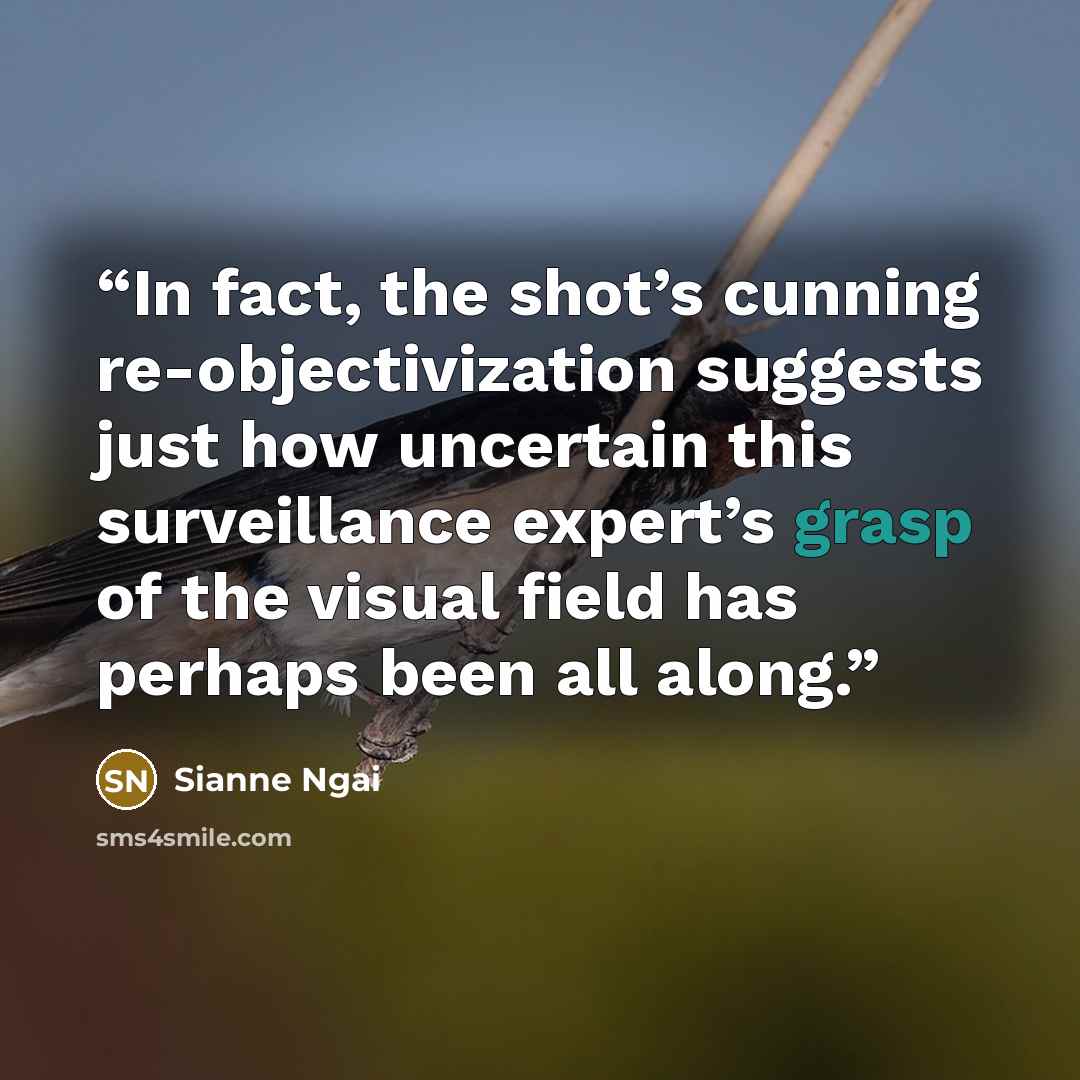 “In fact, the shot’s cunning re-objectivization suggests just how uncertain this surveillance expert’s grasp of the visual field has perhaps been all along.” quote by Sianne Ngai
